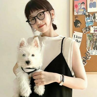狐妖小红娘日语版